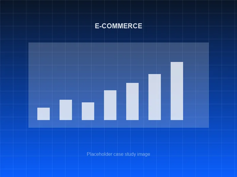 E-commerce SEO case study placeholder image